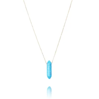 Zlatý náhrdelník z nerezové oceli Crystal HOWLID